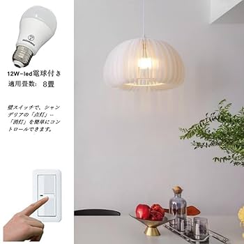 Amazon.co.jp : Takumi Light 天井照明 おしゃれ ledペンダント